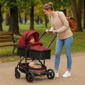 detska-kolichka-2-v-1-zizito-lana (4)